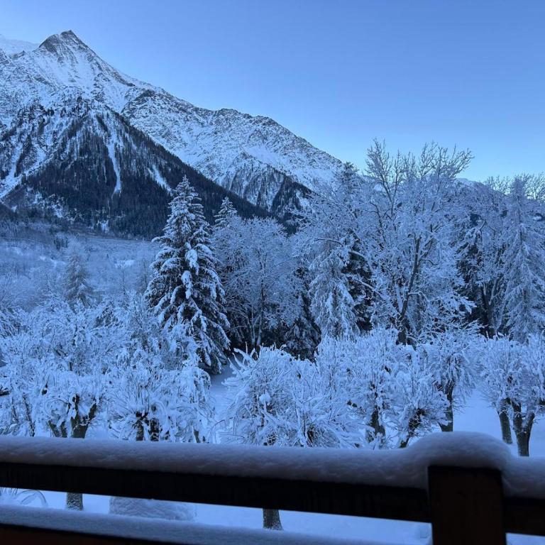 L'écrin des Bossons - Chalet - 30