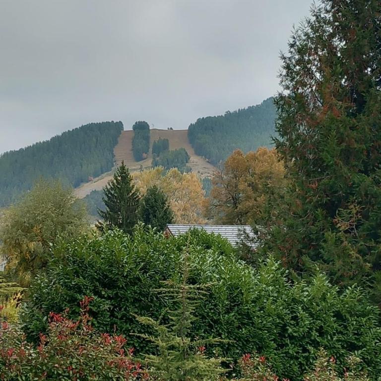 Le petit chalet - Chalet - 24