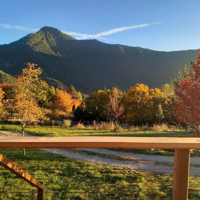 Le petit chalet - Chalet - 15