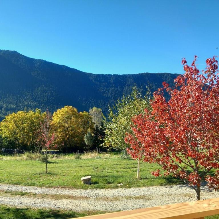 Le petit chalet - Chalet - 21
