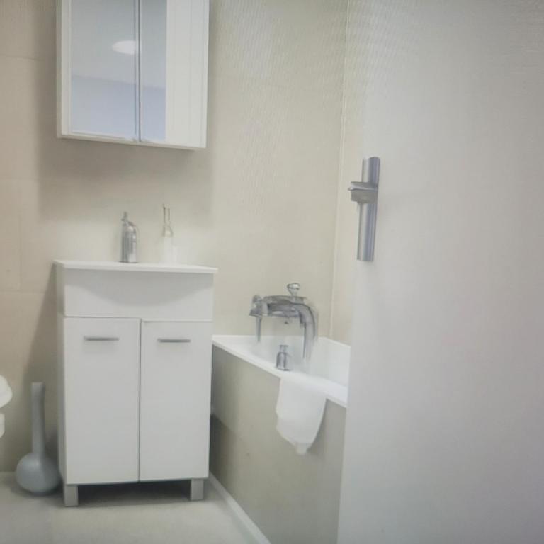 Apartman Beograd Banovo Brdo - lux dvosoban stan - Apartman s 2 Spavaće Sobe sa Balkonom i Terasom - 7