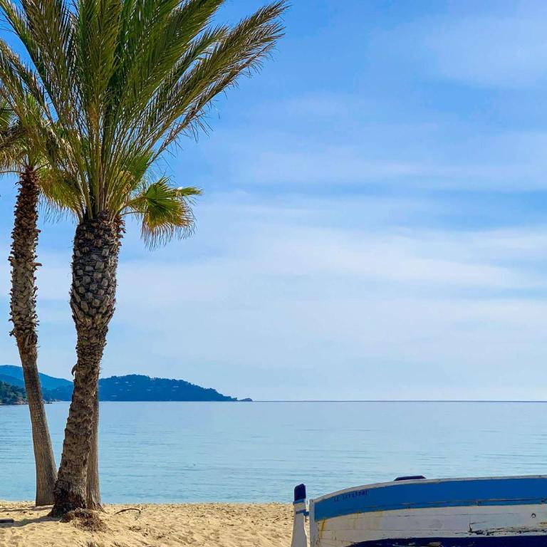 SELECT'SO HOME - Appartement Vue mer & Pieds dans l'eau - ESTEL-F - Appartement - Vue sur Mer - 10