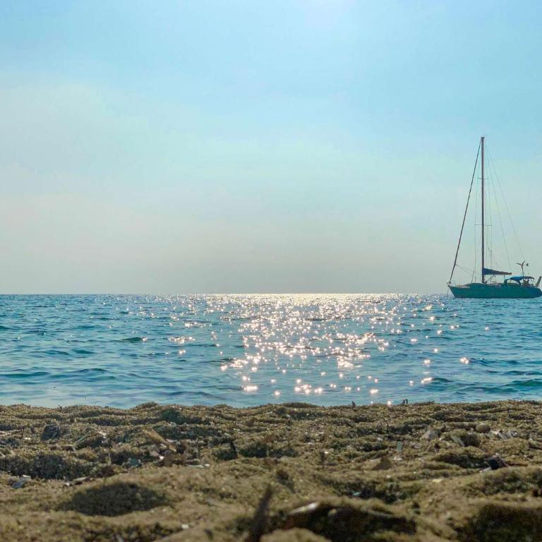 SELECT'soHOME - Vue mer exceptionnelle - Studio sur la plage avec parking privé ! - FREGATE-04 - Studio - Vue sur Mer - 10