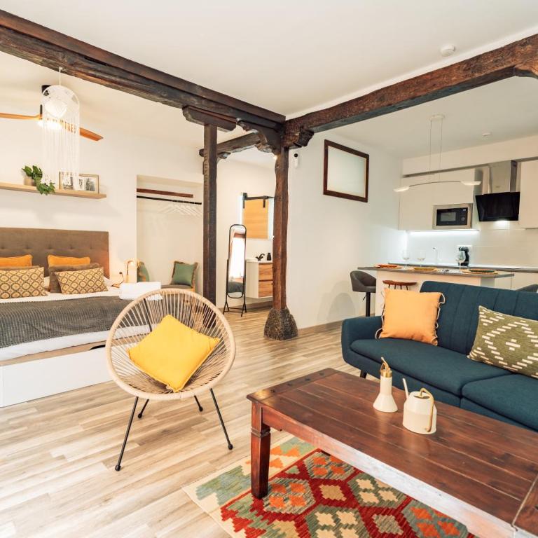 Apure Apartment - Downtown La Laguna - Apartamento de 1 dormitorio - 30