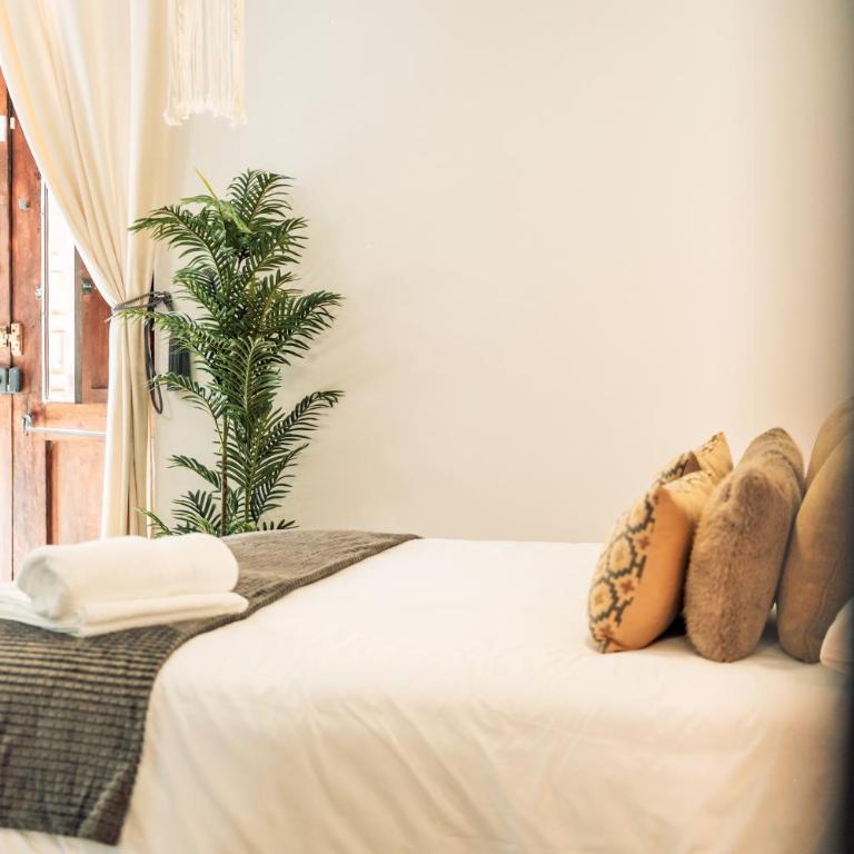 Apure Apartment - Downtown La Laguna - Apartamento de 1 dormitorio - 21