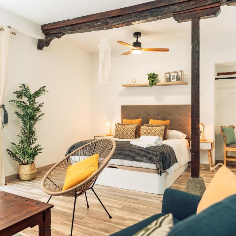 Apure Apartment - Downtown La Laguna - Apartamento de 1 dormitorio - 38