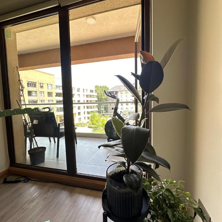 Departamento 1 dormitorio, terraza - One-Bedroom Apartment - 3