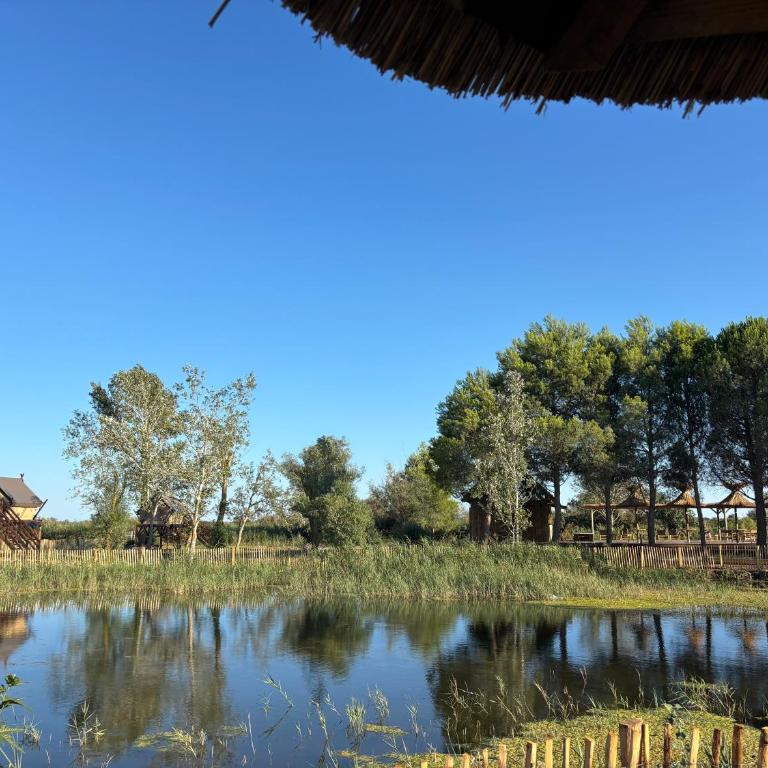 Mas de Dard - Villa - 40