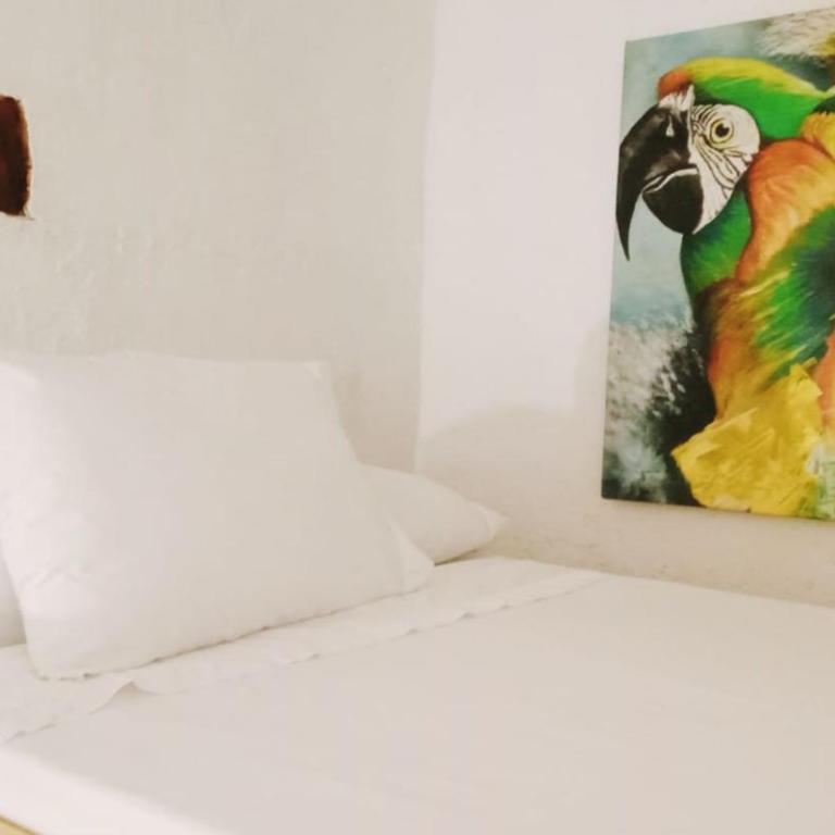 Lotus Centro HIstorico - Budget Double Room - 3