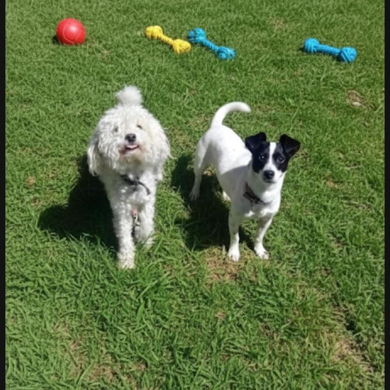 Villa sol - Casa de 2 dormitorios - 26