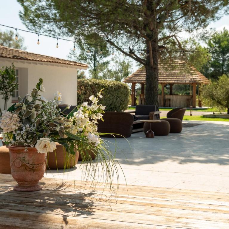 Mas de Dard - Villa - 72