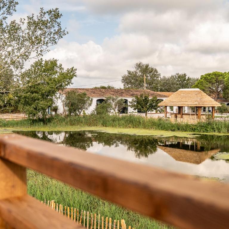 Mas de Dard - Villa - 79