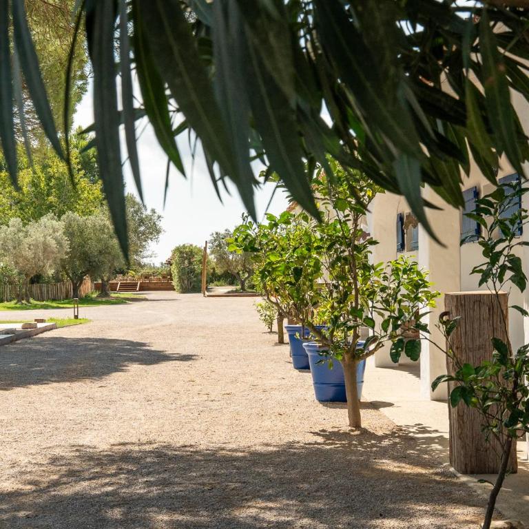 Mas de Dard - Villa - 84