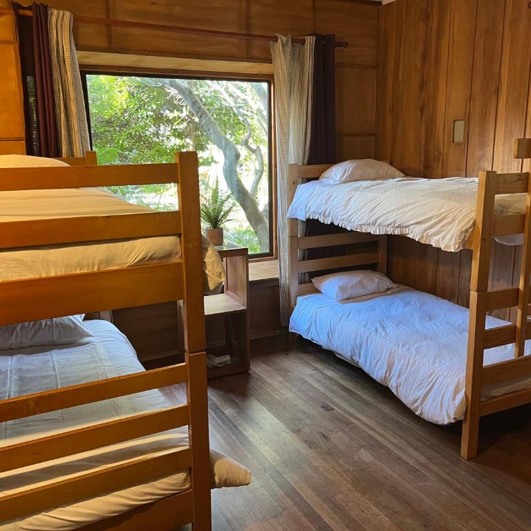 Espacio Ecole - Habitación Familiar con baño privado - 5