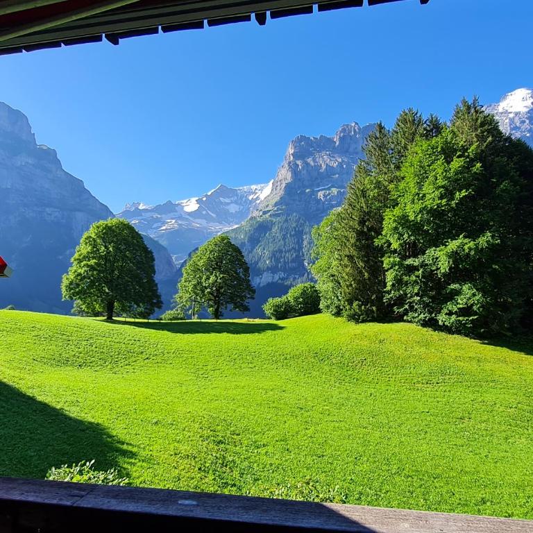 ABO - Boutique Apartment - Chalet Grindelwaldgletscher - Appartement 1 Chambre - 19