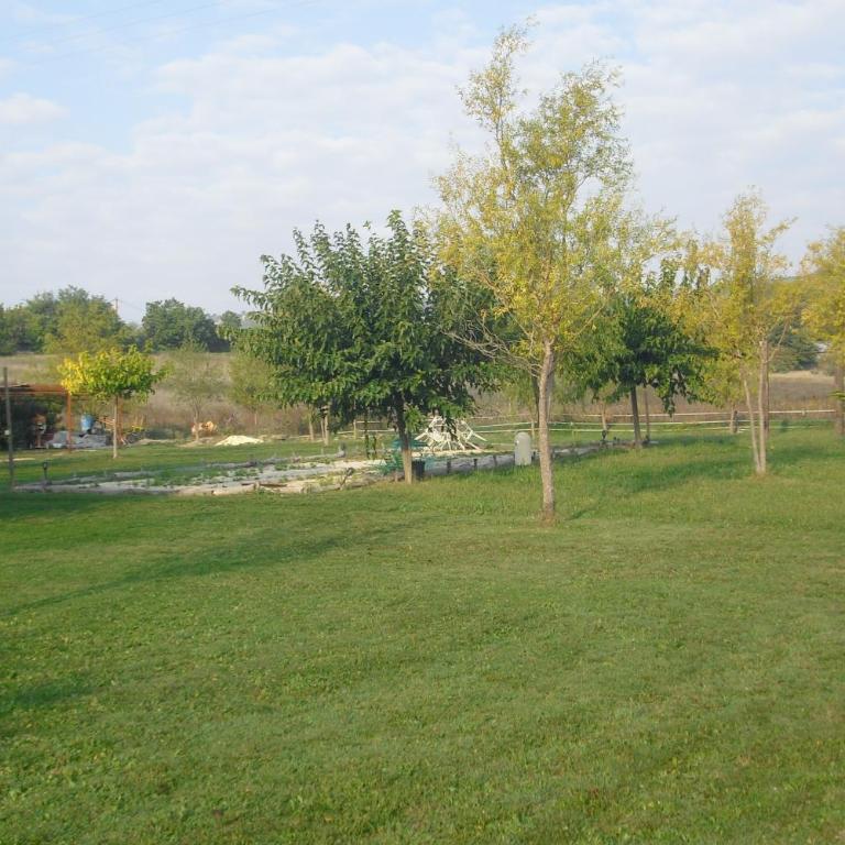 Lou mas li Pitchoun "Le cortassien " - Apartamento de 1 dormitorio - 43
