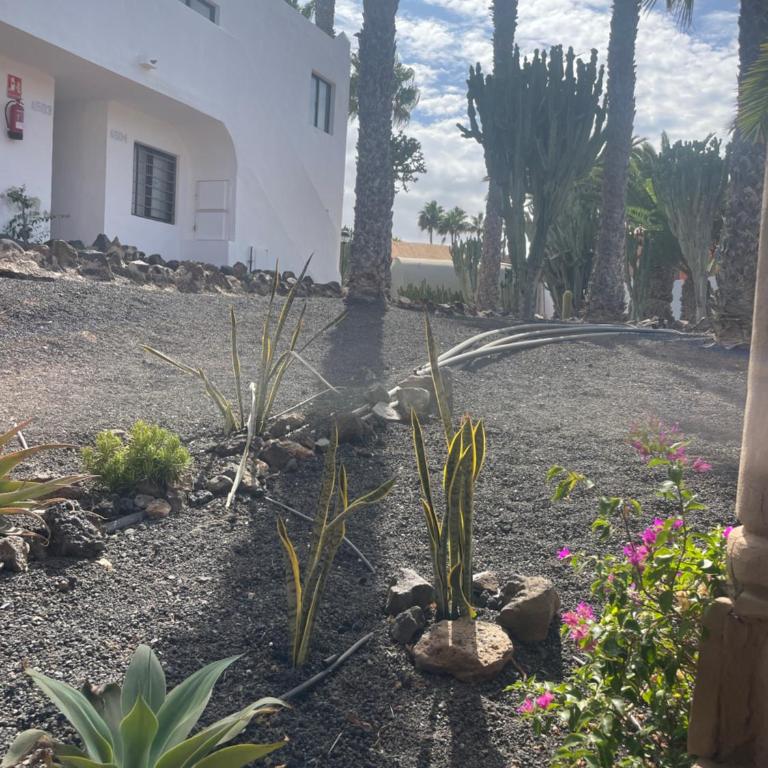 Oasis Dunas Suite Casa Ventura by B-Rent - Apartamento de 2 dormitorios - 27