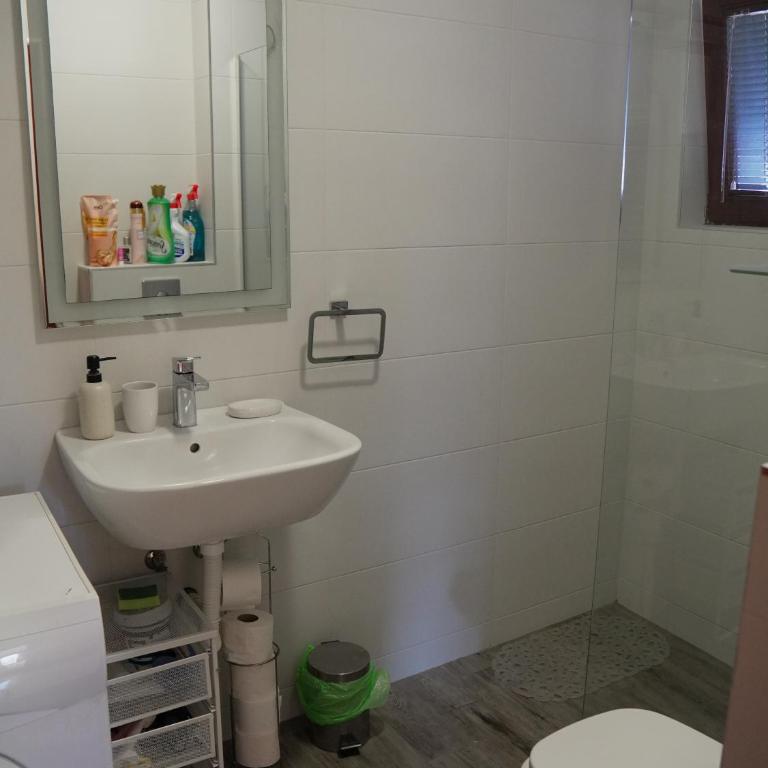 Plavi apartman Airport - Apartman - 9