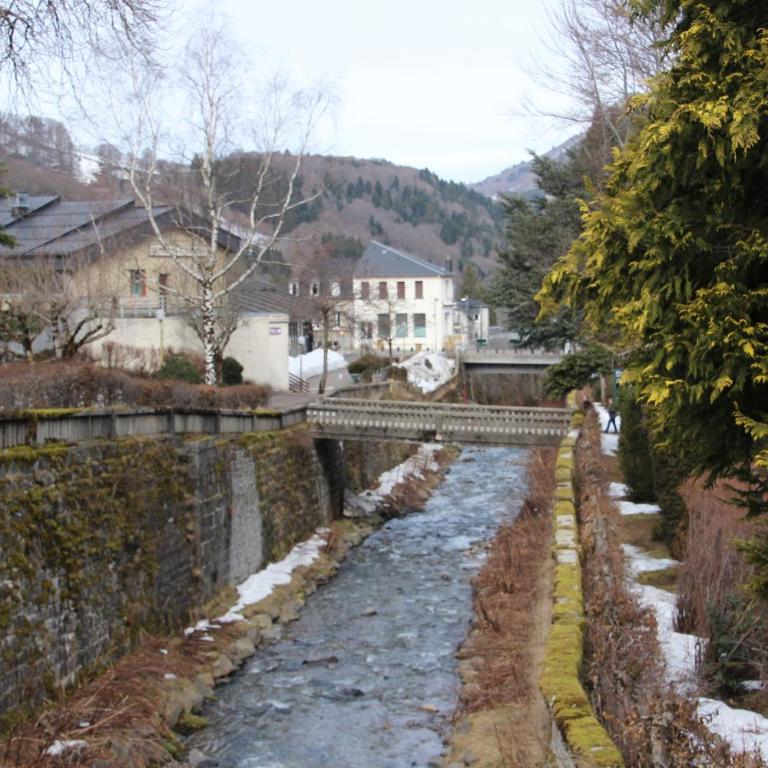 Les cascades - Apartment mit 1 Schlafzimmer - 38
