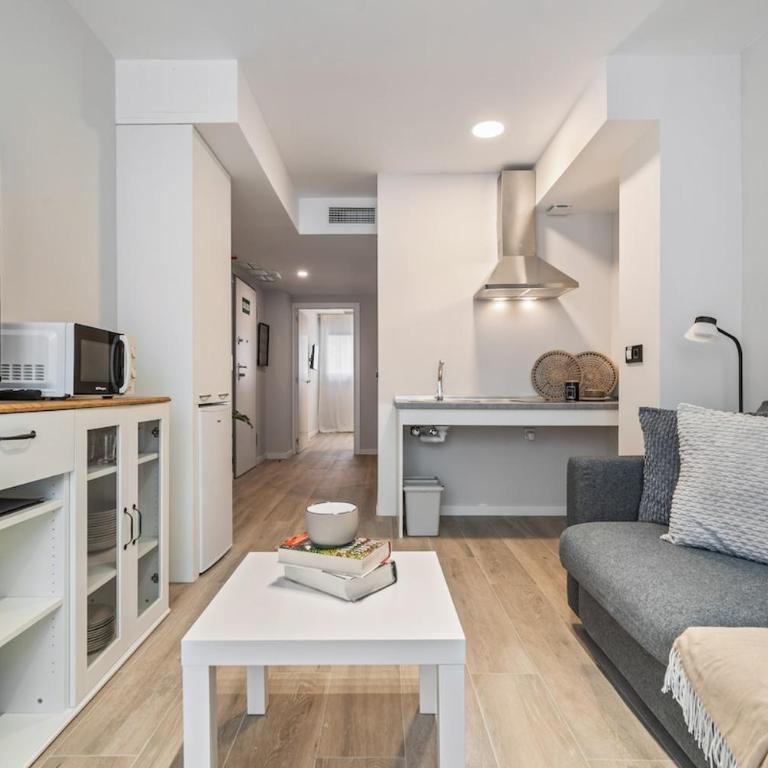 Accessible flat near the Toledo Bridge - 1A - One-Bedroom Apartment - 4