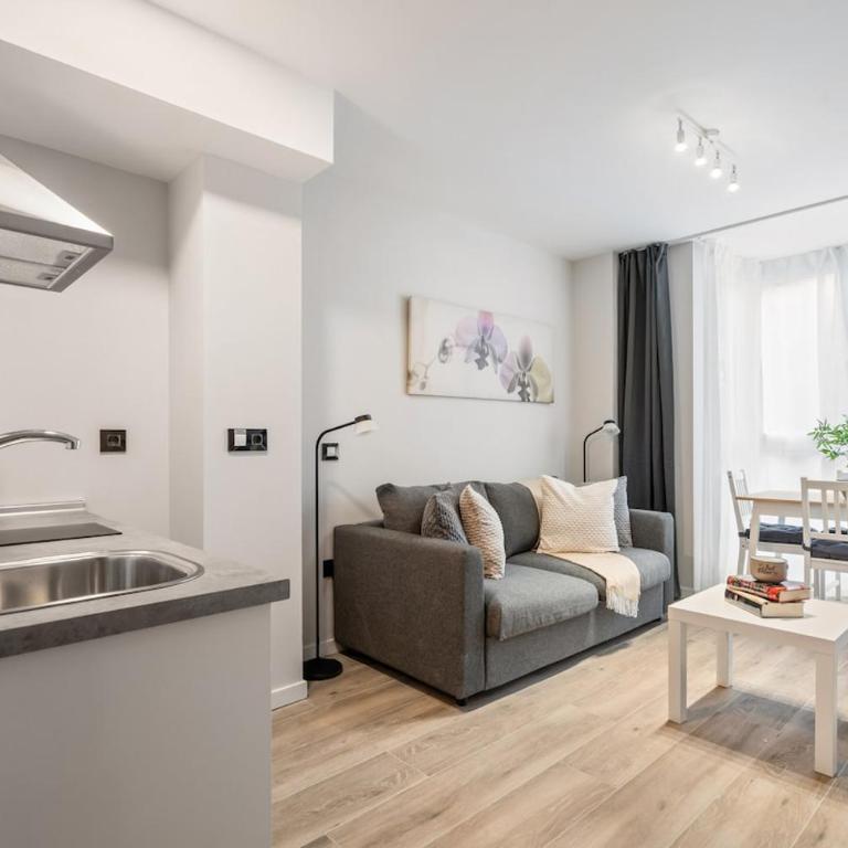 Accessible flat near the Toledo Bridge - 1A - One-Bedroom Apartment - 6
