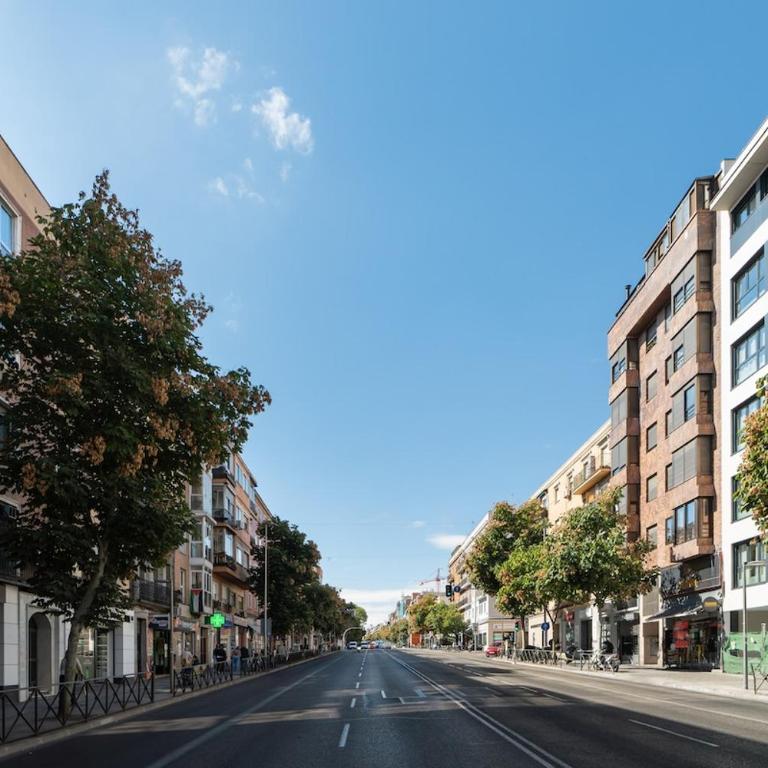 Accessible flat near the Toledo Bridge - 1A - One-Bedroom Apartment - 13