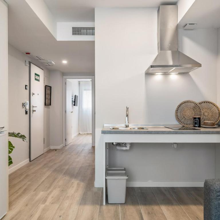 Accessible flat near the Toledo Bridge - 1A - One-Bedroom Apartment - 15