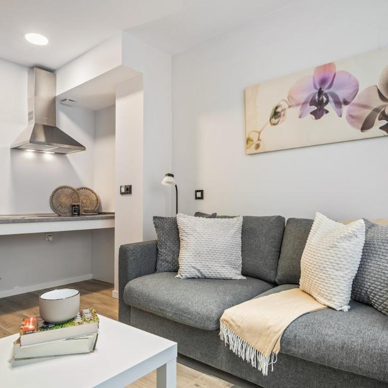 Accessible flat near the Toledo Bridge - 1A - One-Bedroom Apartment - 22