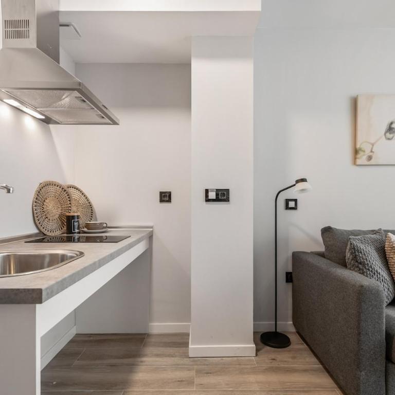 Accessible flat near the Toledo Bridge - 1A - One-Bedroom Apartment - 23