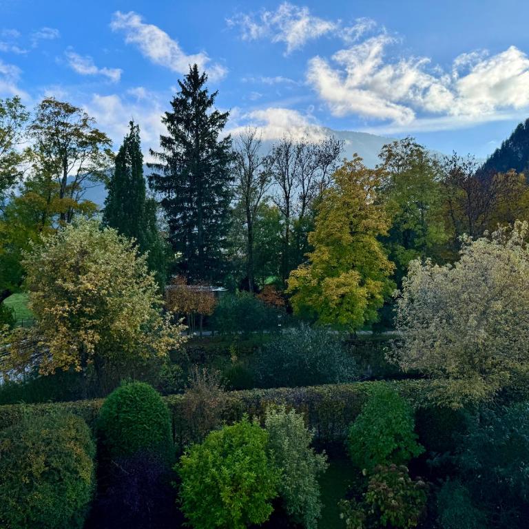 FeWo Honstein - Apartment mit 2 Schlafzimmern und Bergblick - 24