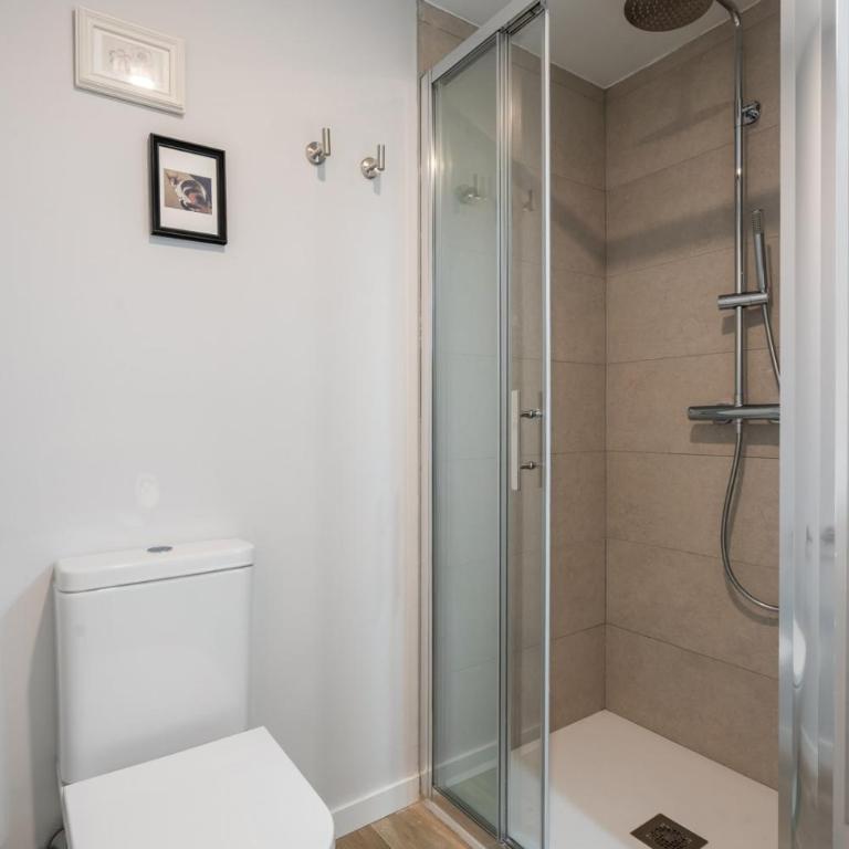 Accessible flat near the Toledo Bridge - 3B - One-Bedroom Apartment - 20