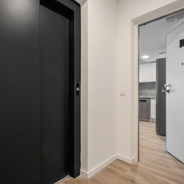 Accessible flat near the Toledo Bridge - 3B - One-Bedroom Apartment - 25