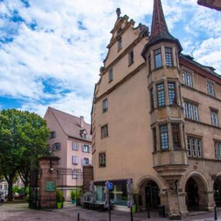 Ideal location Colmar Center- 6p - Appartamento Deluxe - 24