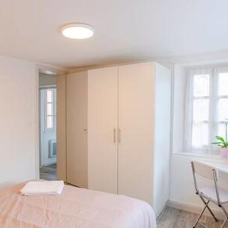 Ideal location Colmar Center- 6p - Appartamento Deluxe - 13