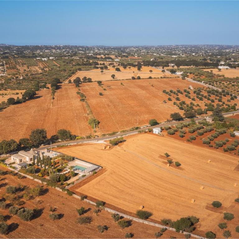 Trullo Rondini Acquarula - Villa - 3