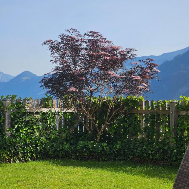 Apart bianca Zillertal - Apartamento de 2 dormitorios - 8