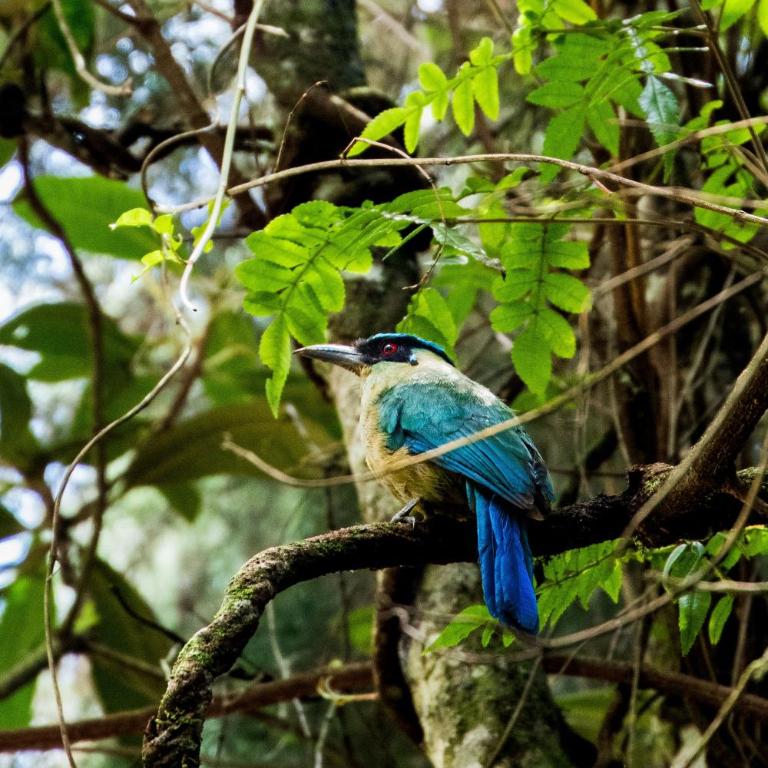 Mágica Cabaña con jacuzzi en Santa Elena - Casa de 3 dormitorios - 20