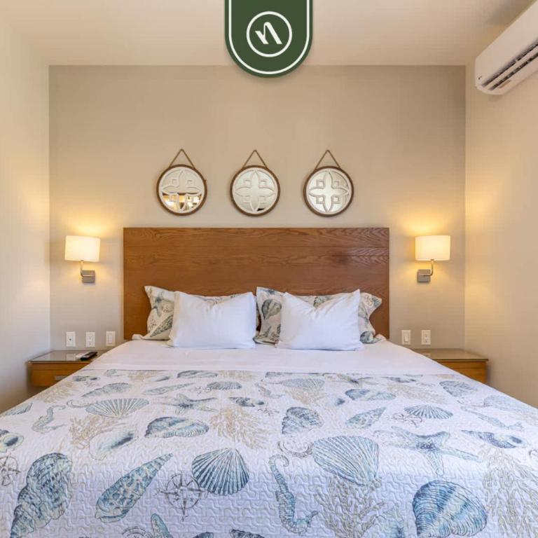 Centric 1BR Condo in Downtown Cabo - Rooftop Pool - Casa - 21
