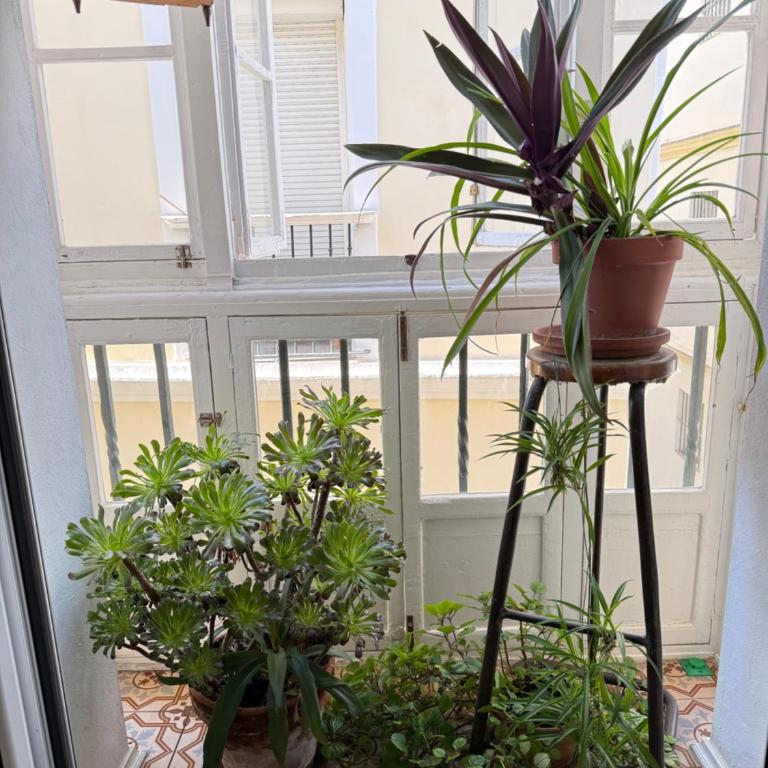 Charito 18 - Apartamento de 1 dormitorio - 24