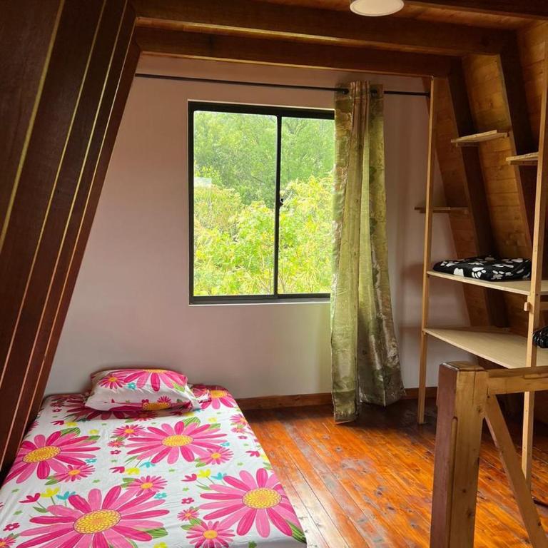 Pazionart Chalets - Chalet - 4
