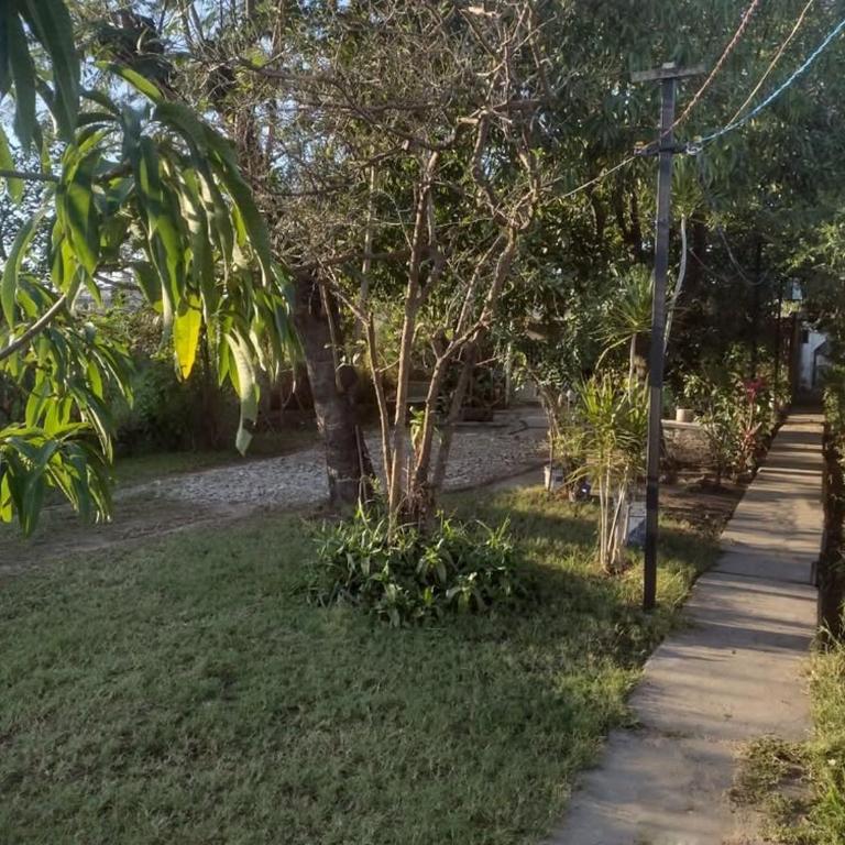la Cruz 2 - One-Bedroom Apartment - 6