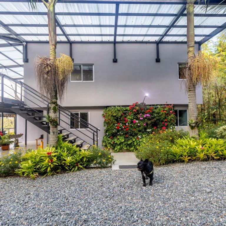 Hotel Bania travels - Casa de 7 dormitorios - 27