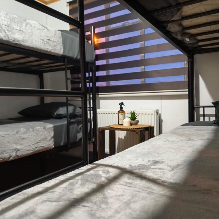 Vive Hostel - 4-Bed Mixed Dormitory Room - 7