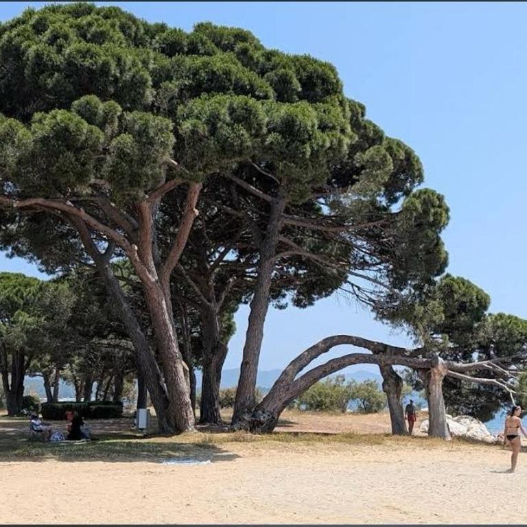 Family Apartment by the Sea with Garden - Maison de Vacances - 18