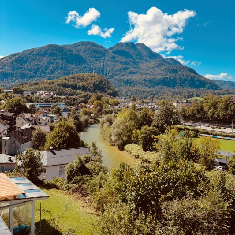 Bergblick Apartments - Natur & Panorama in Bad Ischl - Apartment mit 1 Schlafzimmer - 1