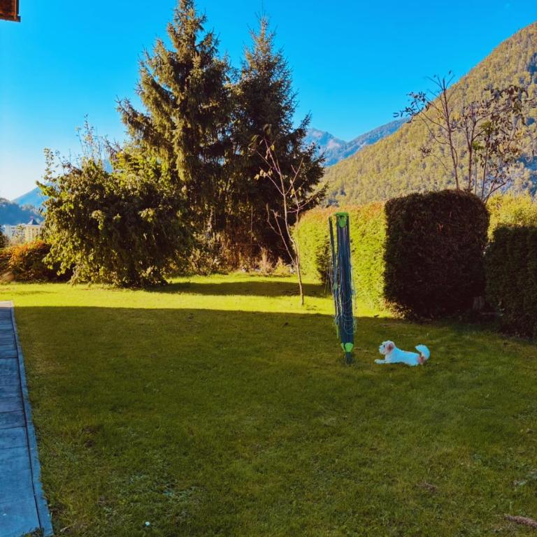 Bergblick Apartments - Natur & Panorama in Bad Ischl - Apartment mit 1 Schlafzimmer - 5