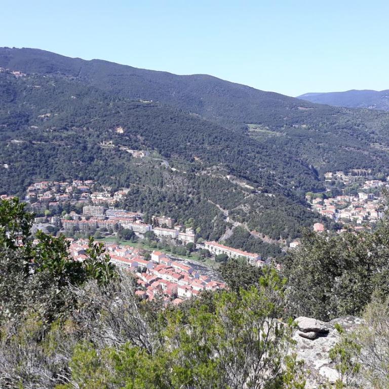 Coup de cœur 3 étoiles terrasse parking Wifi à 70 m des thermes - Appartement 1 Chambre - 34