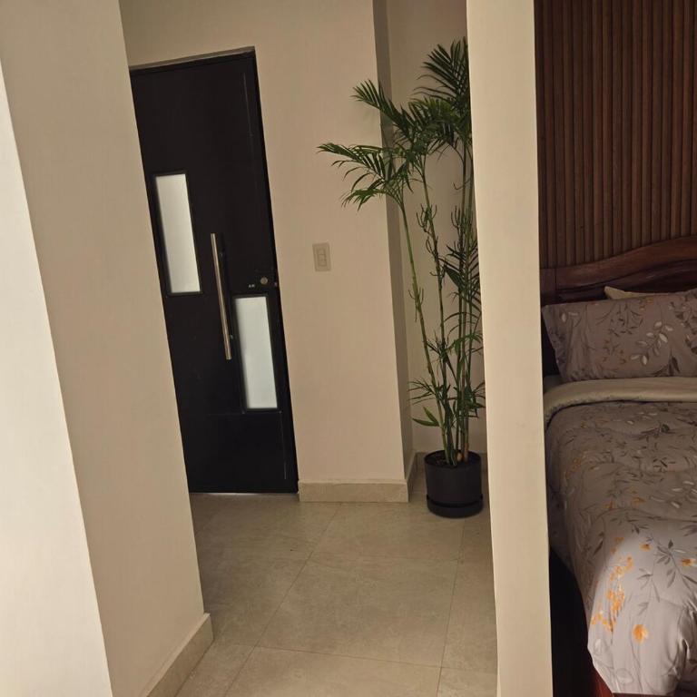 La casa del ensueño - Apartamento - 5