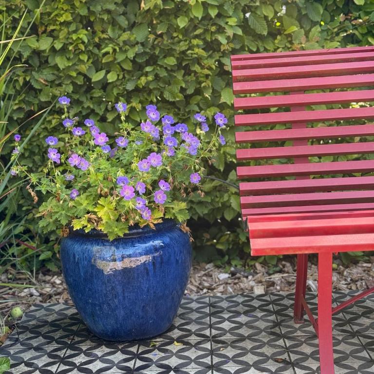 Beautiful historic villa close to Deauville - Villa - 40