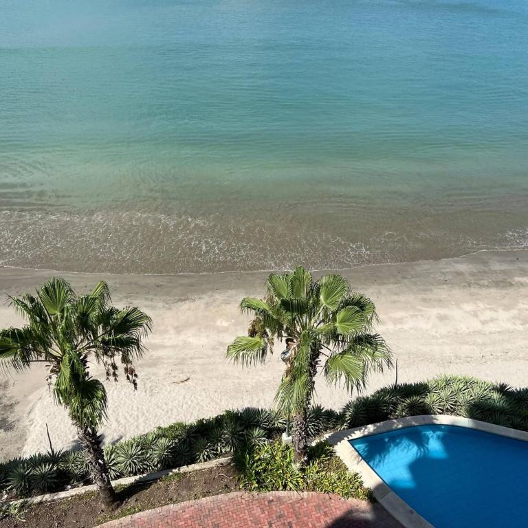 Beach front Ocean view, pool Family Apt Salinas - Apartment - 51